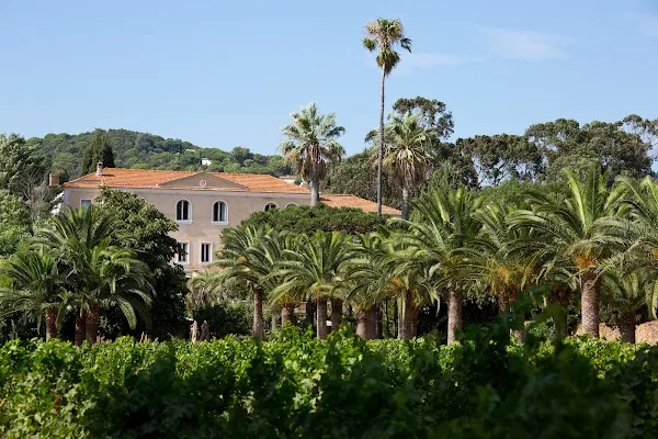 Photo du restaurant La Palmeraie - Château de Valmer